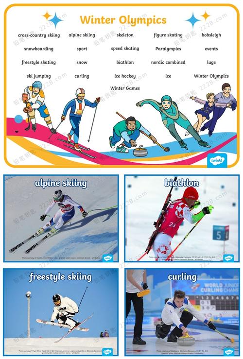 冬奥会赛事项目英文